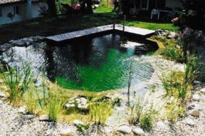 Piscine pulite senza detergenti chimici