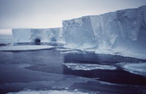 Antartide, ghiacciaio di Mertz, dopo una collisione si stacca un gigantesco iceberg (le foto). Si temono effetti sulle correnti oceaniche