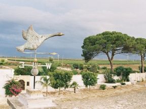 In vacanza meglio scegliere l'agriturismo, riduce l'impatto e adotta buone pratiche di sostenibilità