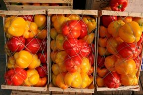 Ortofrutta Connection, Legambiente: 27 clan fanno affari nel settore delle agromafie