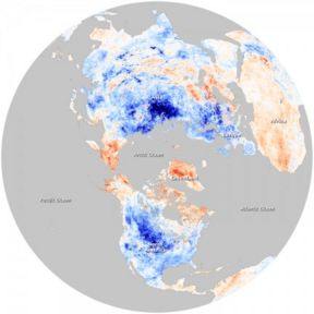 Gelo invernale e cambiamenti climatici: ma che fine hanno fatto El Niño  e la corrente del Golfo?