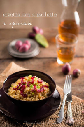 Orzotto con cipollotto e opunzie – Barley with spring onion and opuntias