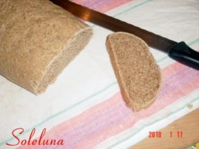 PANE INTEGRALE con lievito madre