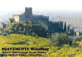 Soavemente Wine Blog 1°classificato al Concorso Multimediale Festival dell'enoturismo