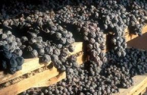 Amarone e Recioto della Valpolicella ce l' hanno fatta: ora sono DOCG