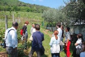 Cantine Aperte il 31 maggio in Lombardia...e oltre