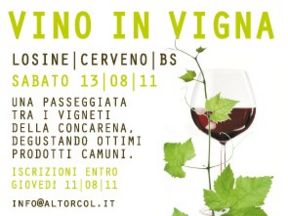 Eventi estate 2011: "Vino in vigna"