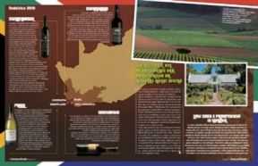 Mondiali di Calcio quasi al via, prepariamoci sul vino del Sudafrica con Business People in edicola