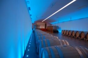 Pievevecchia, Montecucco: Anteprima Vino di una Notte di Mezza Estate 22 Luglio