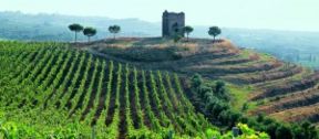 Il vino che verrà è anche il Frascati con Principe Pallavicini a Firenze per God Save the Wine il 26 gennaio