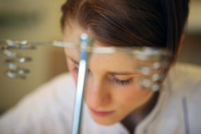 Gelati | Malaga Revenge