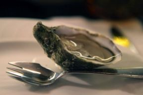 Langosteria 10 Bistrot & Bottega, Milano