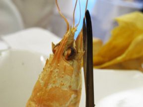 Appunti Diviàggio | Andreina a Loreto