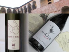 Sorgente del vino Live 2011: Agazzano state of mind