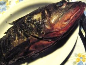 Fenomenologia della grigliata