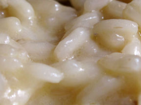 Appunti Diviàggio | Fontana, a Magenta