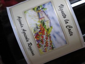 IGT Rosso dell’Emilia “Vigneto la Costa” – Azienda Agricola Reggiana s.a. [6.2]