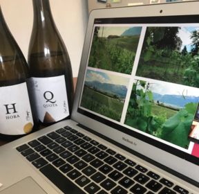 Come fare una degustazione online