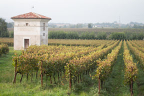 Festival Franciacorta 2014