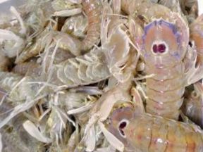 Pasta e mare: il primo perfetto!!!