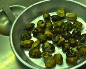 Cosa fare, e cosa non, per cucinare dei buoni spaghetti alle vongole