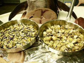Cosa può insegnarci Dove sui migliori ristoranti d’Italia per mangiare telline, vongole e arselle