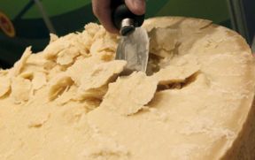 Tributo a Cheese 2011: quale dei 400 formaggi italiani provare almeno una volta nella vita