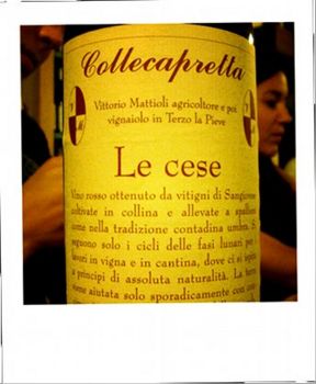 Umbria Sangiovese IGT – Collecapretta, Le Cese 2007