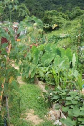 リサイクル資源が元気の素です