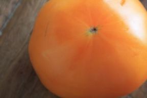 夏がもうすぐやってきます。