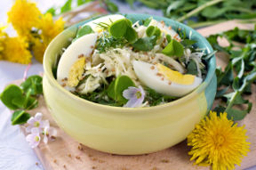 Frutta e verdura di stagione: new entry nell’orto di Giugno