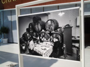 Il mondo in foto: gli scatti più belli da vedere ad Expo