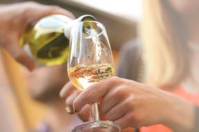 Vini naturali in Liguria: viaggio tra 5 cantine eroiche