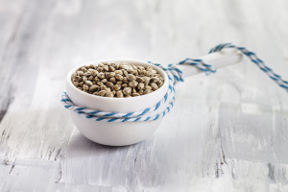 Canapa Alimentare: 3 ricette per usarla in cucina
