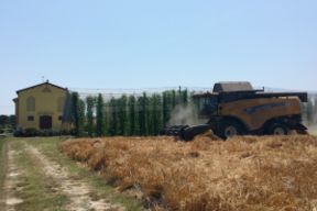 Birra Artigianale: 3 posti da visitare questo autunno