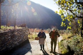 Cucina bianca ligure: 5 piatti della tradizione delle malghe
