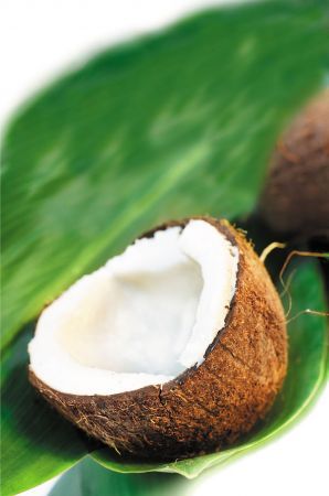 Antipasto di gamberi al cocco.