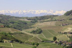 Serralunga | Spiegare (o almeno provarci) il nebbiolo agli inglesi