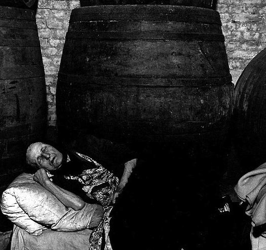 Sciovinismi | La tua cantina è come una moglie: costa un sacco di soldi, occupa spazio, invecchia
