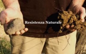 Buona Pasqua di Resistenza Naturale. E finalmente ecco il trailer di un film attesissimo