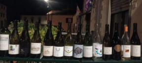 Il Tasting di Settignano e la riscossa del Trebbianaccio