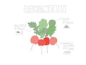 RAVANELLI ZERO SPRECHI