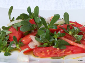 Pomodori e portulaca all’insalata, pummarole e porchiacchella a’ nzalata