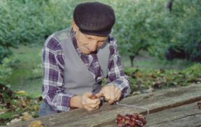 I castagneti d Roccamonfina: paesaggio dalla bellezza che incanta e due ricette d’autunno