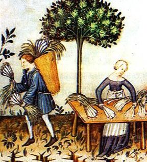 Maestro Martino: menù medievale a base di VERDURE