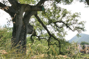 Ca’ di Gosita, l’agriturismo perfetto