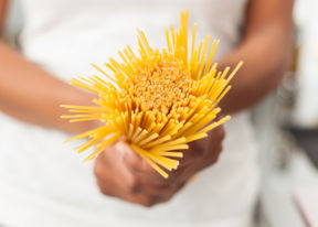 World Pasta Day & Congress 2015: nutrizione, dieta e gluten free