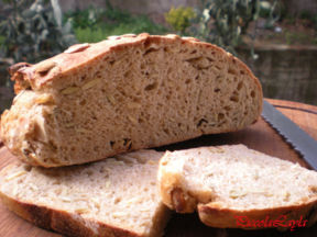 Pane Cafone con Semi di Zucca