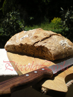 Ciabatta a lunga lievitazione con farine miste e semini