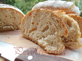 Ciabatta con farina “2″ e Pasta Madre